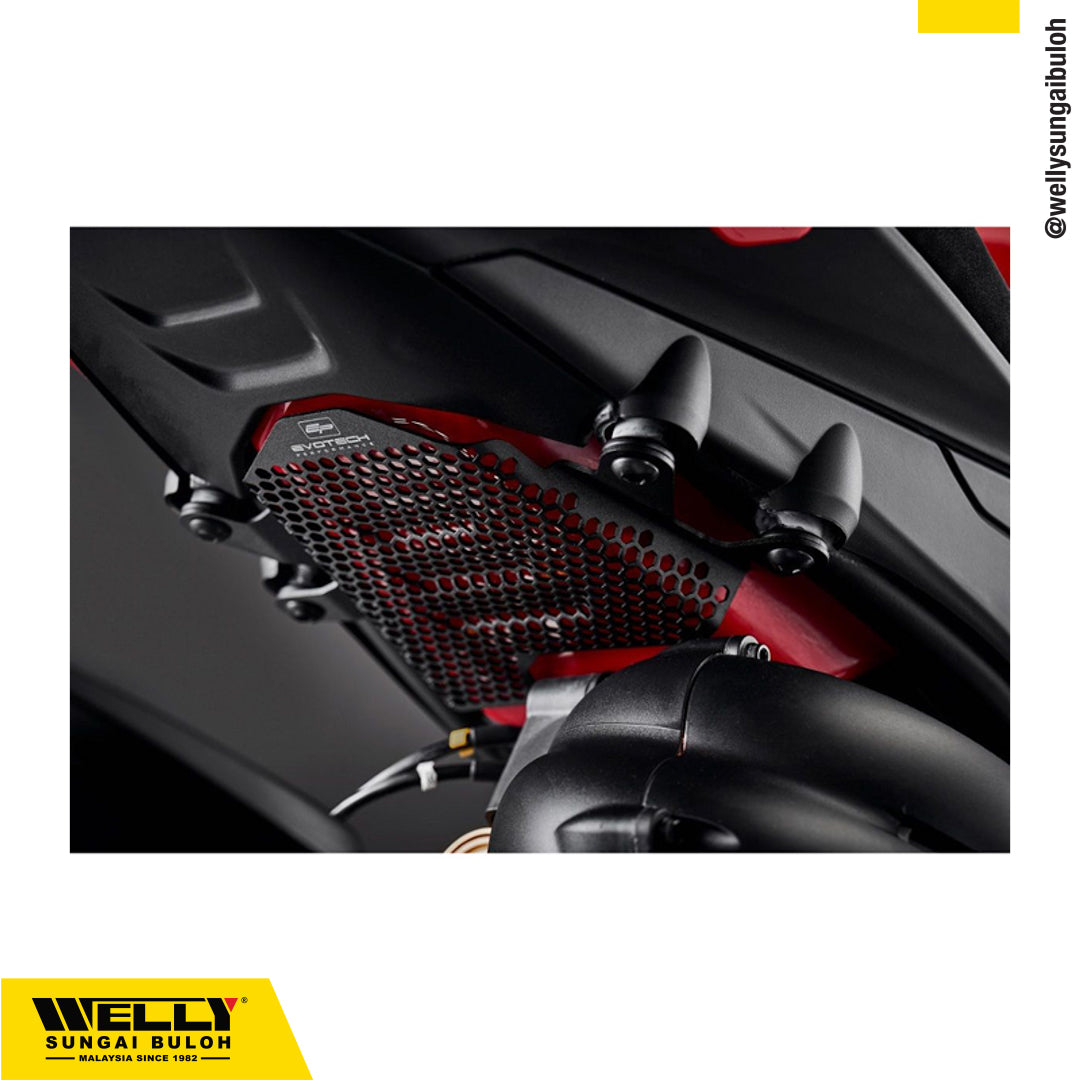 EP Fuel Tank Guard for Ducati Streetfighter V4