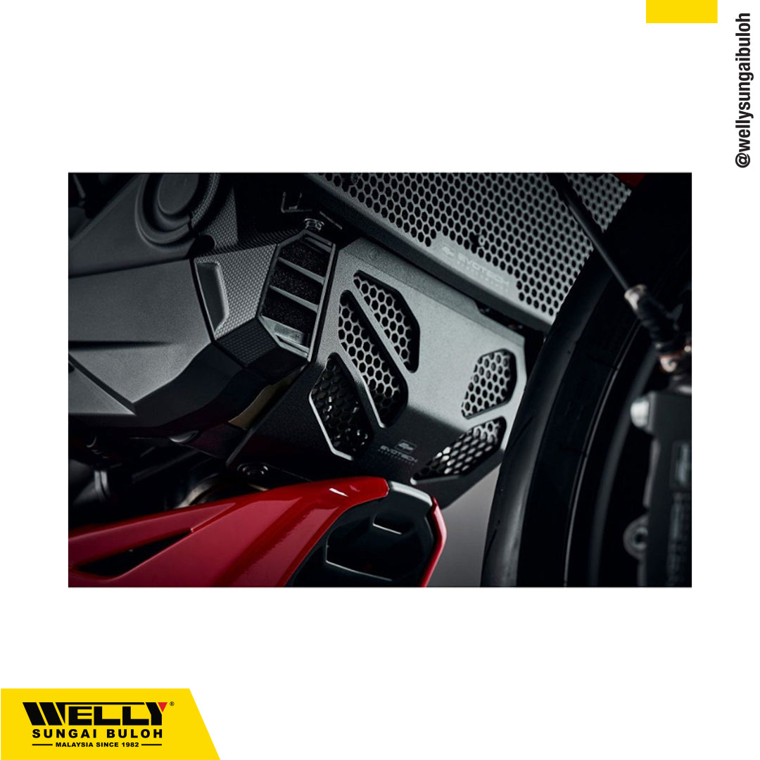 EP Engine Guard (Small) Ducati Monster 950 (2021+)